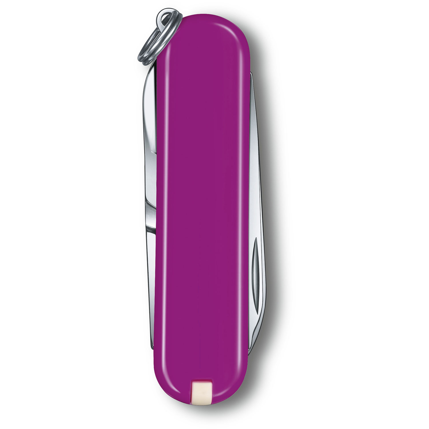 Victorinox Classic Colors Tasty Grape Victorinox Classic Colors Tasty Grape