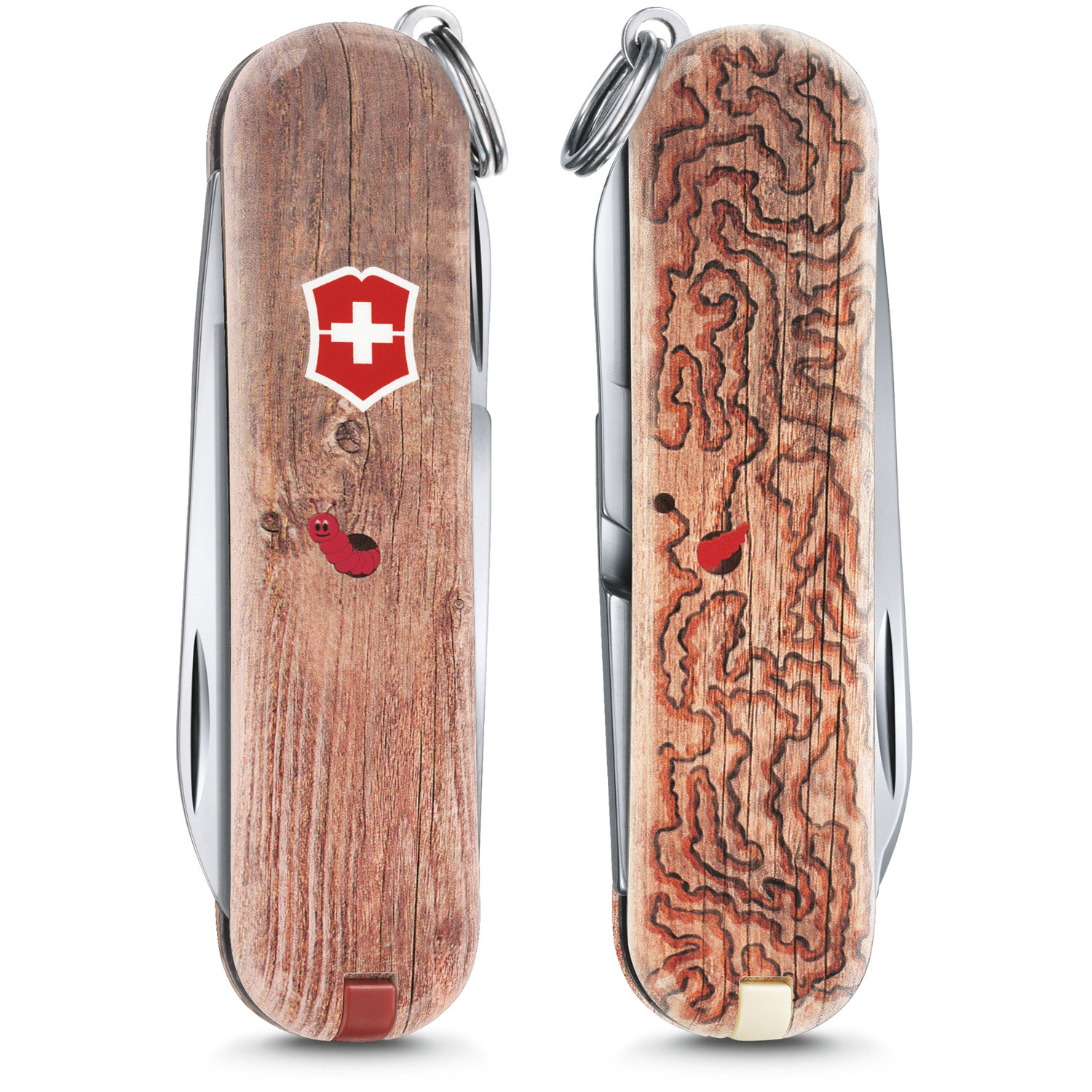 Victorinox Taschenmesser Classic Edition 2017 Woodworm
