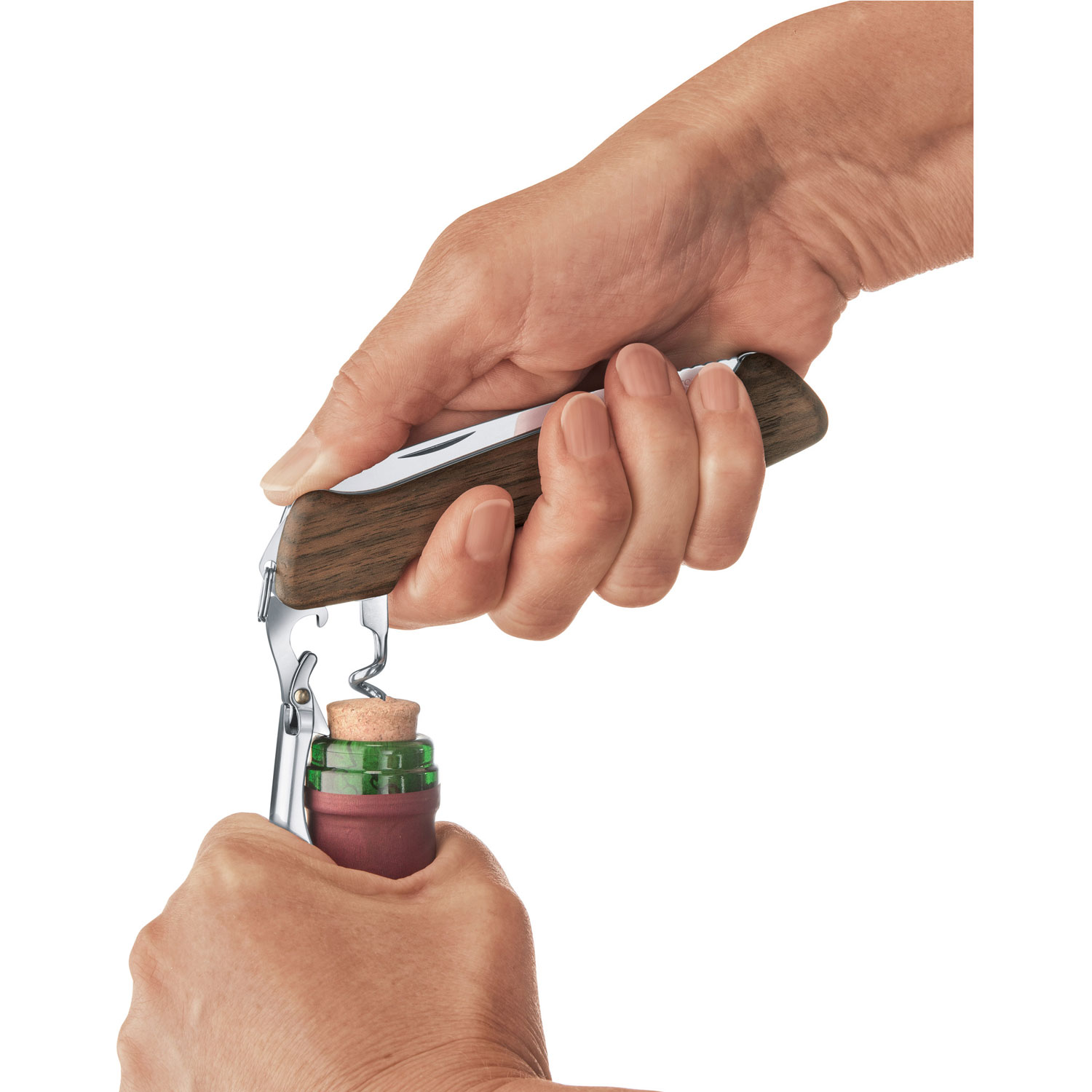Victorinox Wine Master Funktion